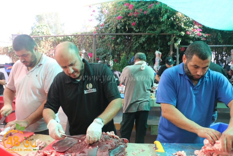 lod8om ada73y (11).JPG